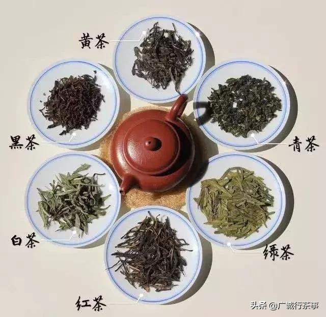 十分钟带你读懂中国六大茶