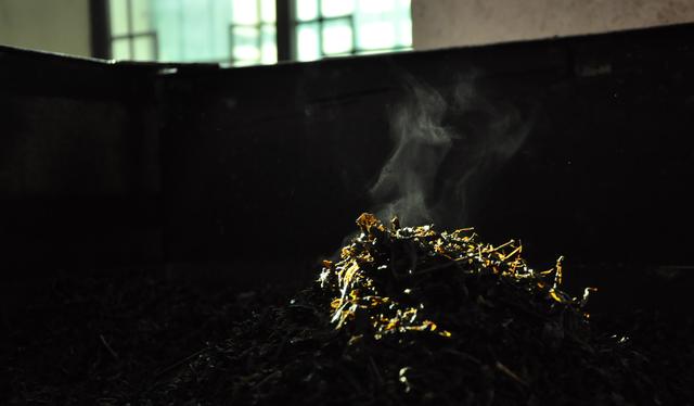 传统的安化黑茶，有发酵程度的说法吗？听听专业茶人怎么说