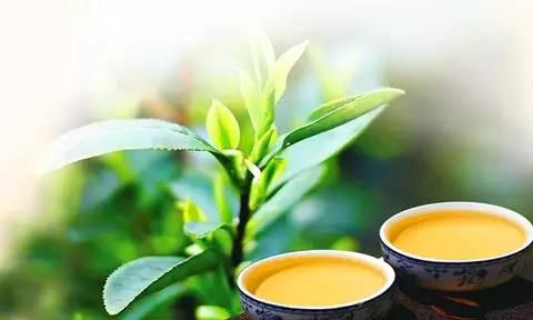 茶界小学生：过去6个月，淘系电商平台茶叶销售变化趋势