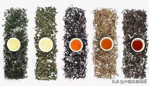 绿茶、白茶、黄茶、青茶、红茶、黑茶，这下终于弄懂了