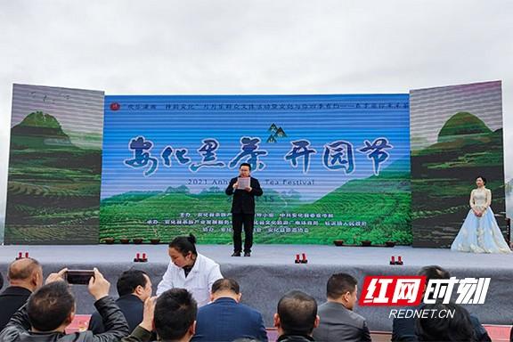 多图丨相约“贡茶之乡”2021安化黑茶开园节今日启幕