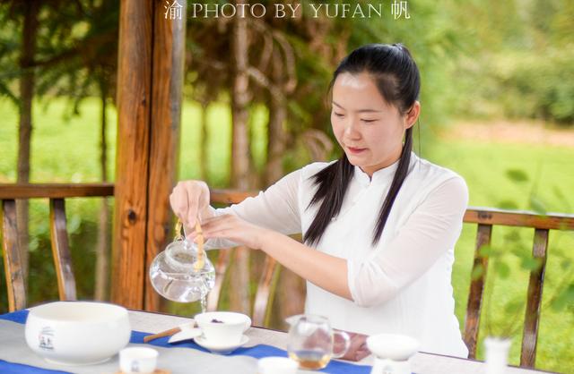 走进中国黑茶之乡，感受悠久而厚重的黑茶文化