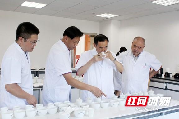 第五届湖南·安化黑茶文化节名优产品专家评审会在白沙溪举行