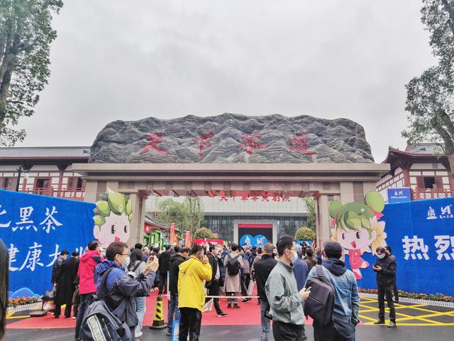 第五届湖南·安化黑茶文化节正式开幕