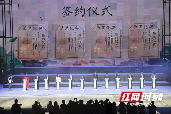 快讯｜14个项目现场签约 第五届黑茶文化节招商引资102亿元