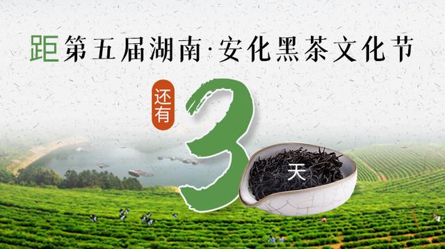 距第五届湖南·安化黑茶文化节还有3天